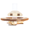 magnetic-levitating-train-ring